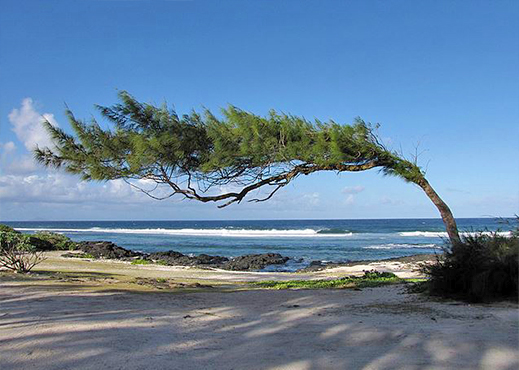 roche noire mauritius